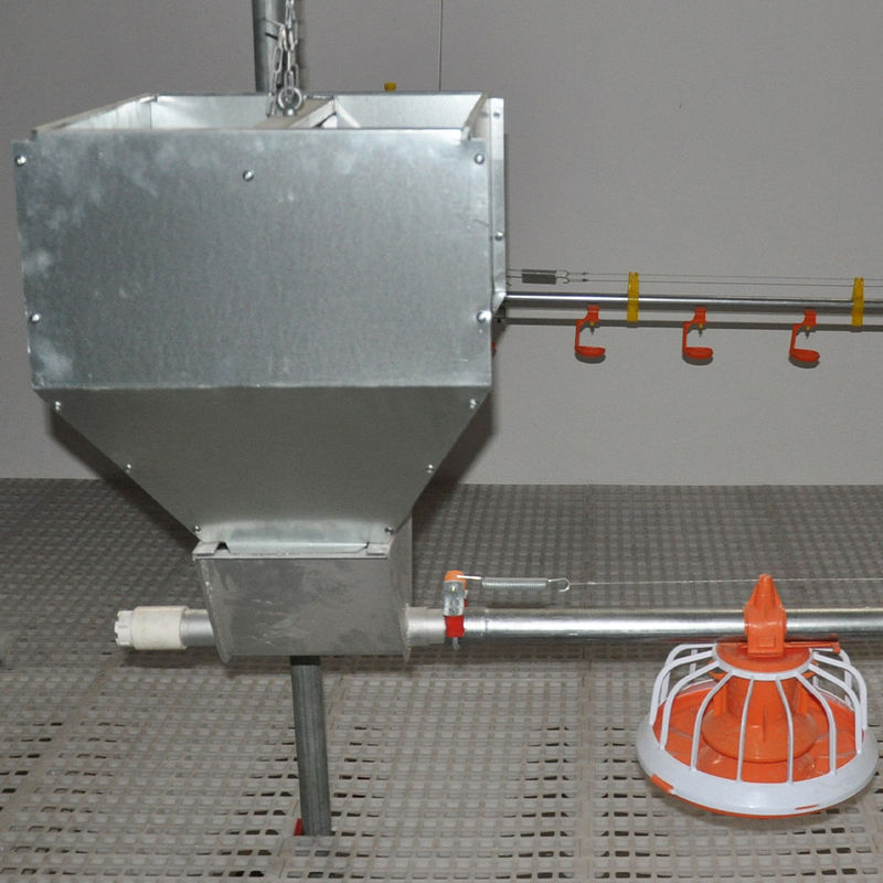 Complete Auto Broiler Poultry Farm System For Chicken Water