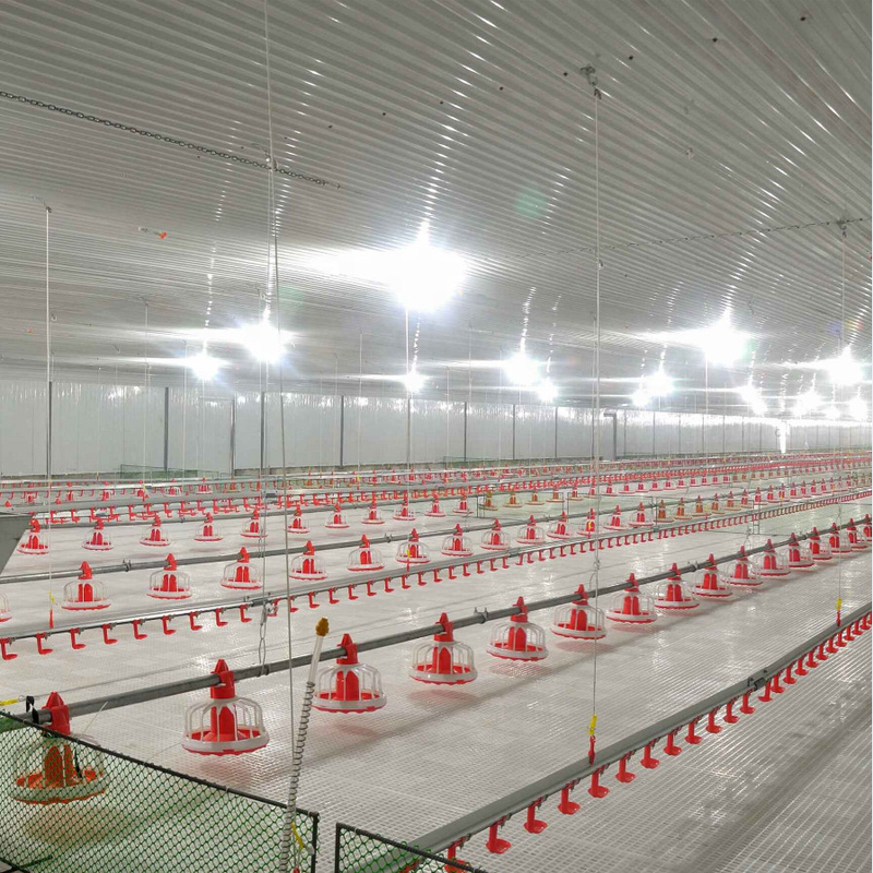 Poultry Farming Chicken Feeder Equipment Long Life