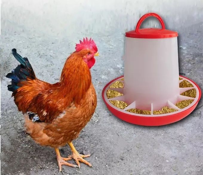 4kg Poultry Chicken Feed Bucket With Hanging Manual Feeder Drinkers