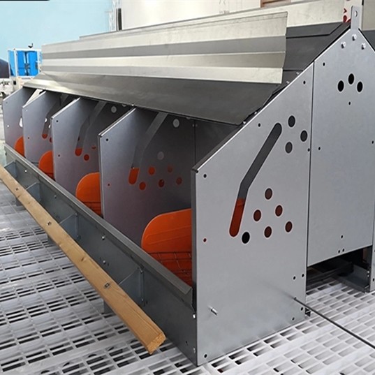 Broiler Breeder Automated Poultry Feeding System